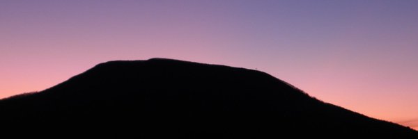 FearTheWing Profile Banner