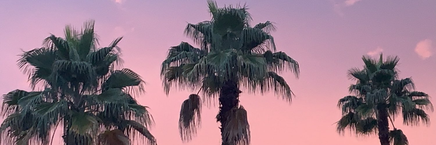 aleeely's profile banner image