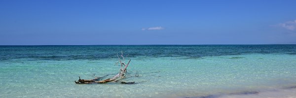 LamarcheRaquel Profile Banner