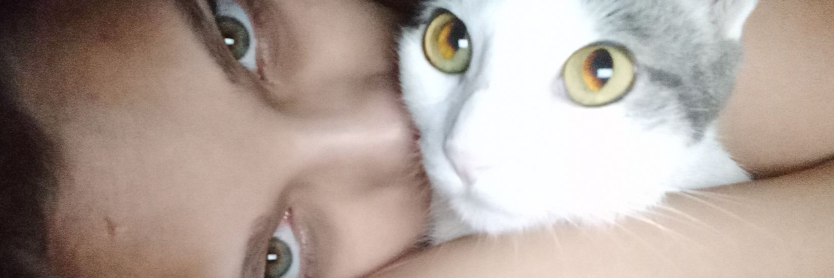 YuliLegal's profile banner image