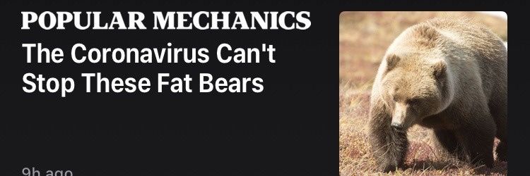 Thiccarus 🌞 🪽 banner