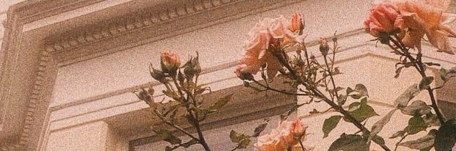 بدور🦋 banner
