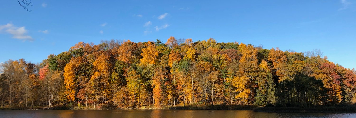 Julia Eddelbuettel banner