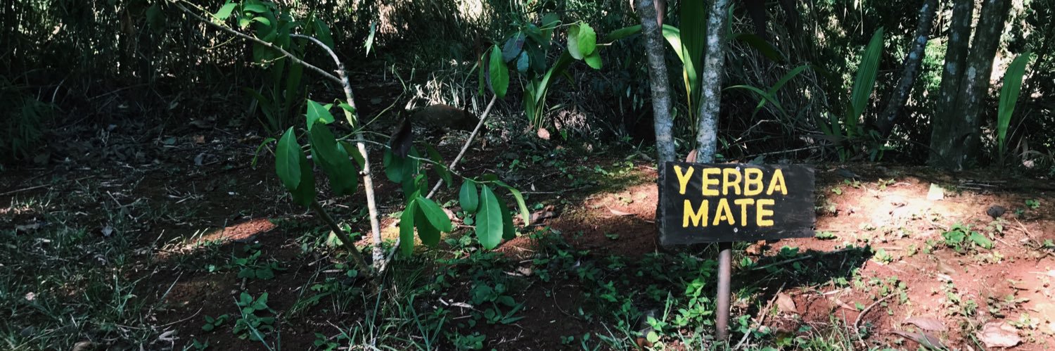 iamthemorna's profile banner image