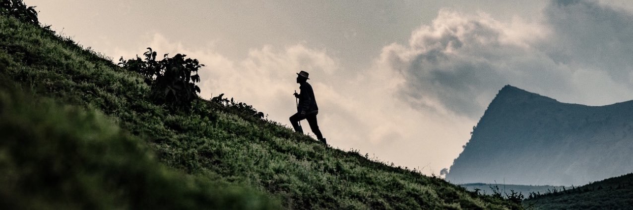 TEDDYMAZINA's profile banner image