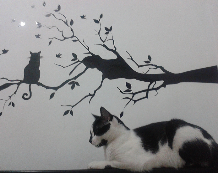 natytab58's profile banner image