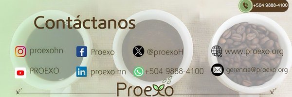 ProexoH Profile Banner