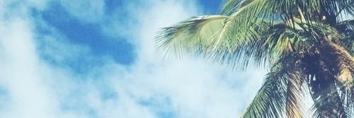 Raele1's profile banner image