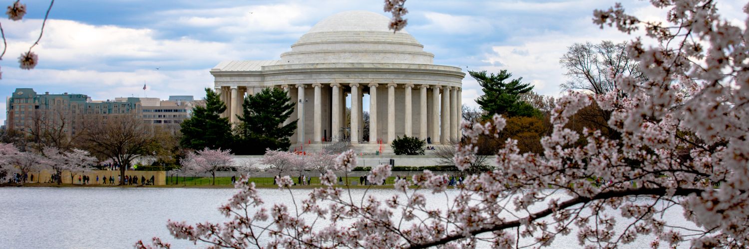 CherryBlossFest's profile banner image