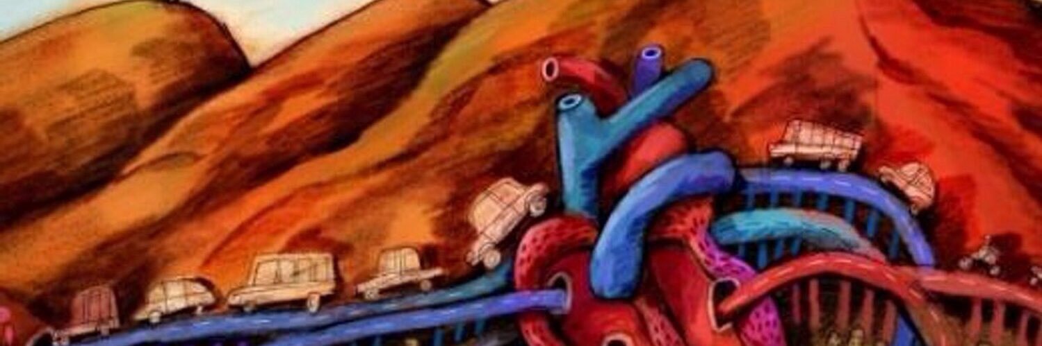 Carolina Maldonado P banner