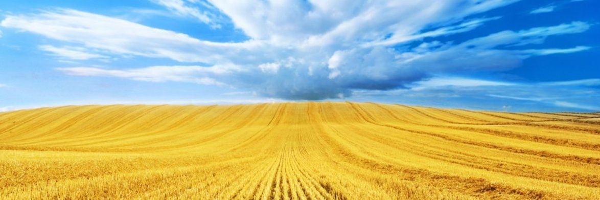 АndReo 🇺🇦's banner