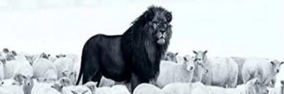 Chat000069 ✊ 🇨🇵 🐞🐞🐞 banner