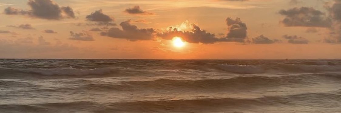 nohaa_m's profile banner image