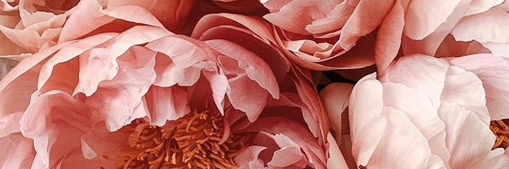 likearecordbb's profile banner image