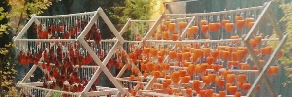 bogger_chef Profile Banner