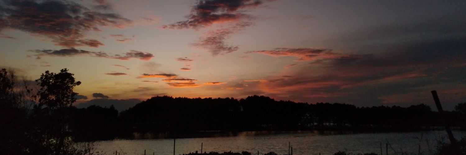 𝓖. banner