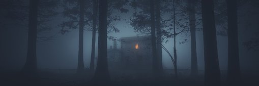 daniellefern's profile banner image