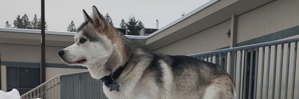 RalphVillanue20 Profile Banner