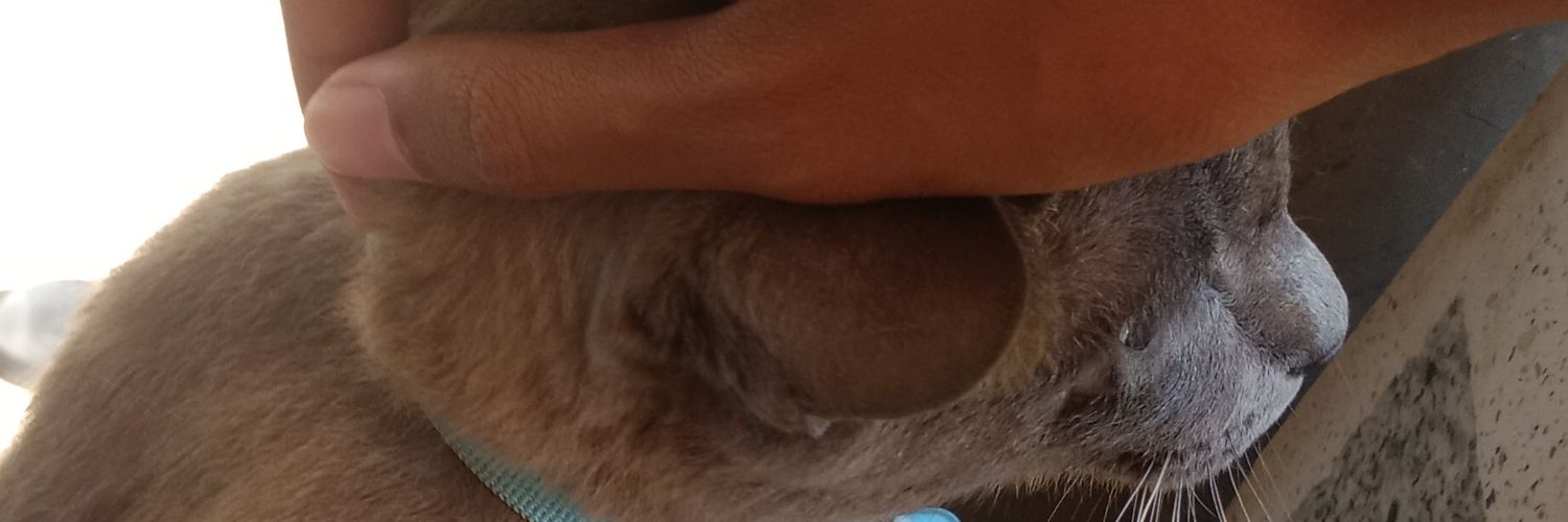 TAWARIJ #FNaFtwt banner