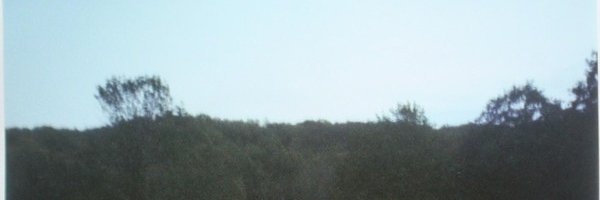 SashkaBebra's profile banner image