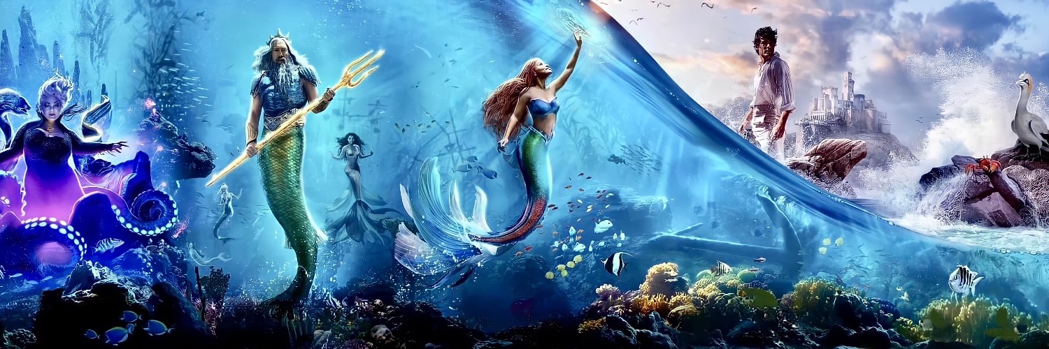 CSingletonxo's profile banner image