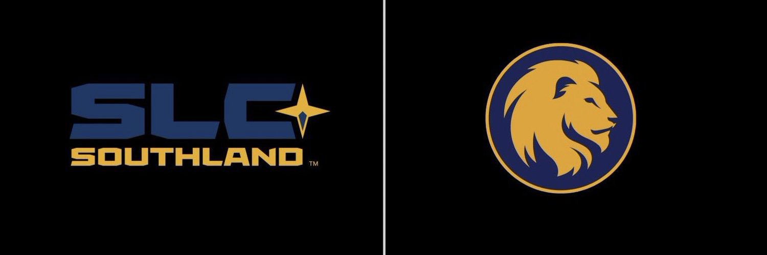 Adler Leadlove-Misner banner