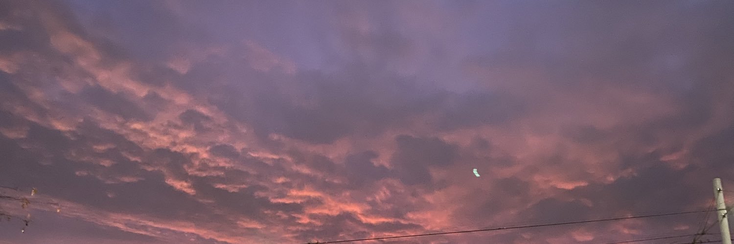 wolfieee 🕷 banner