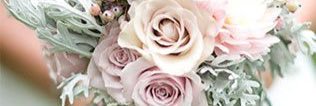 Alena404's profile banner image