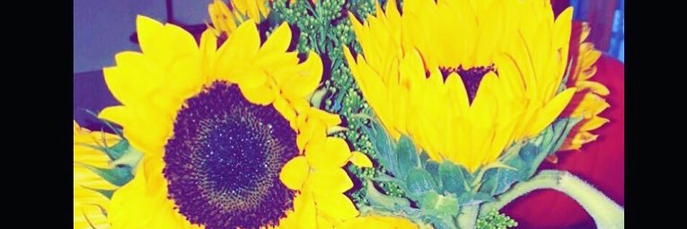 ekirch21's profile banner image
