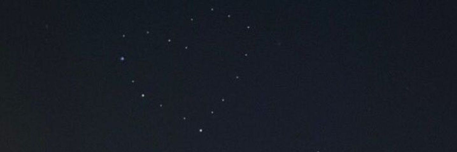 L banner