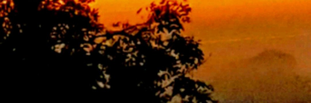 DevonChez's profile banner image