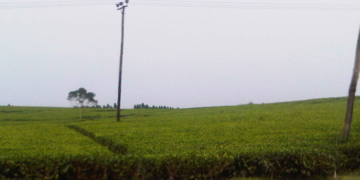 NancyChemu's profile banner image