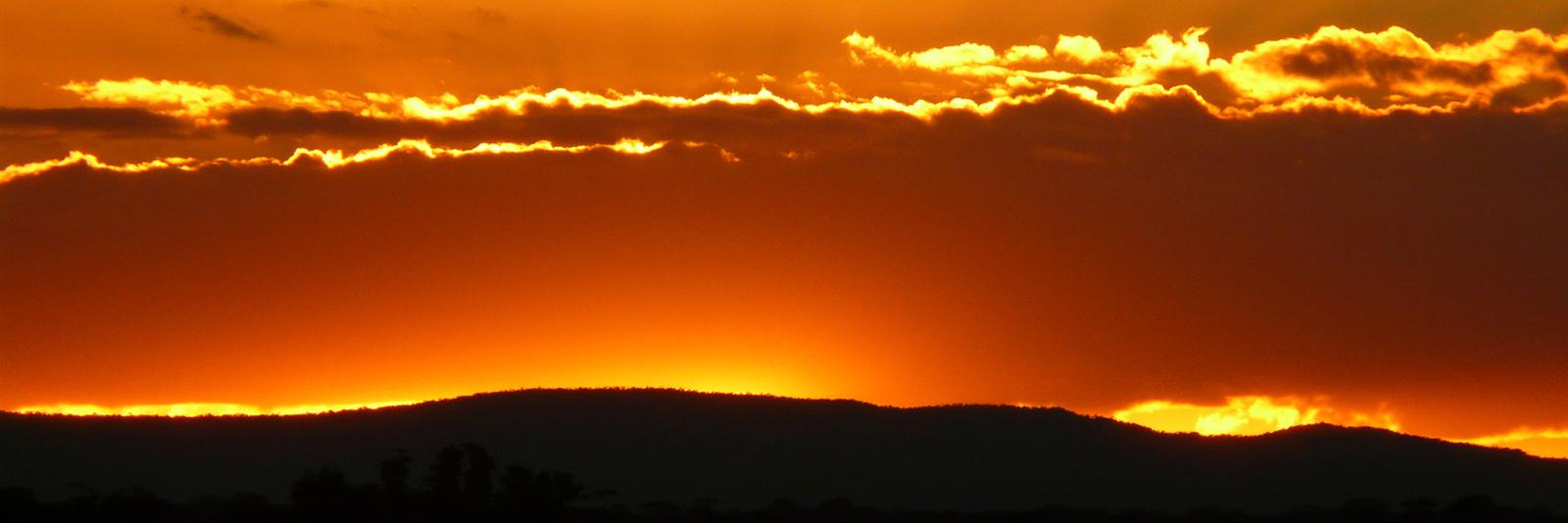 NeedleholeHalo© banner