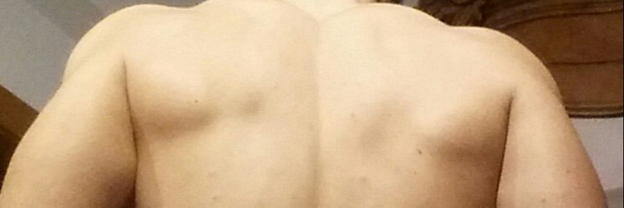NudistMacho's profile banner image