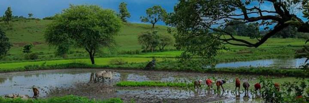 GillRaghvendra's profile banner image
