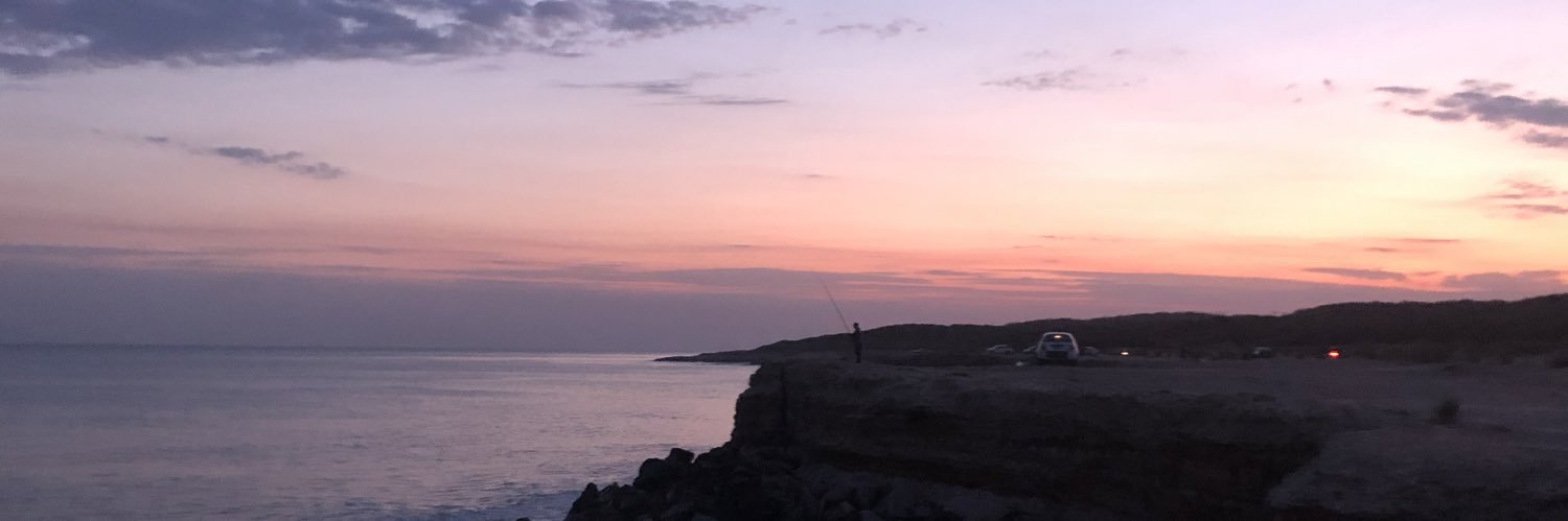 M a r t i n a̴ 🐘 banner