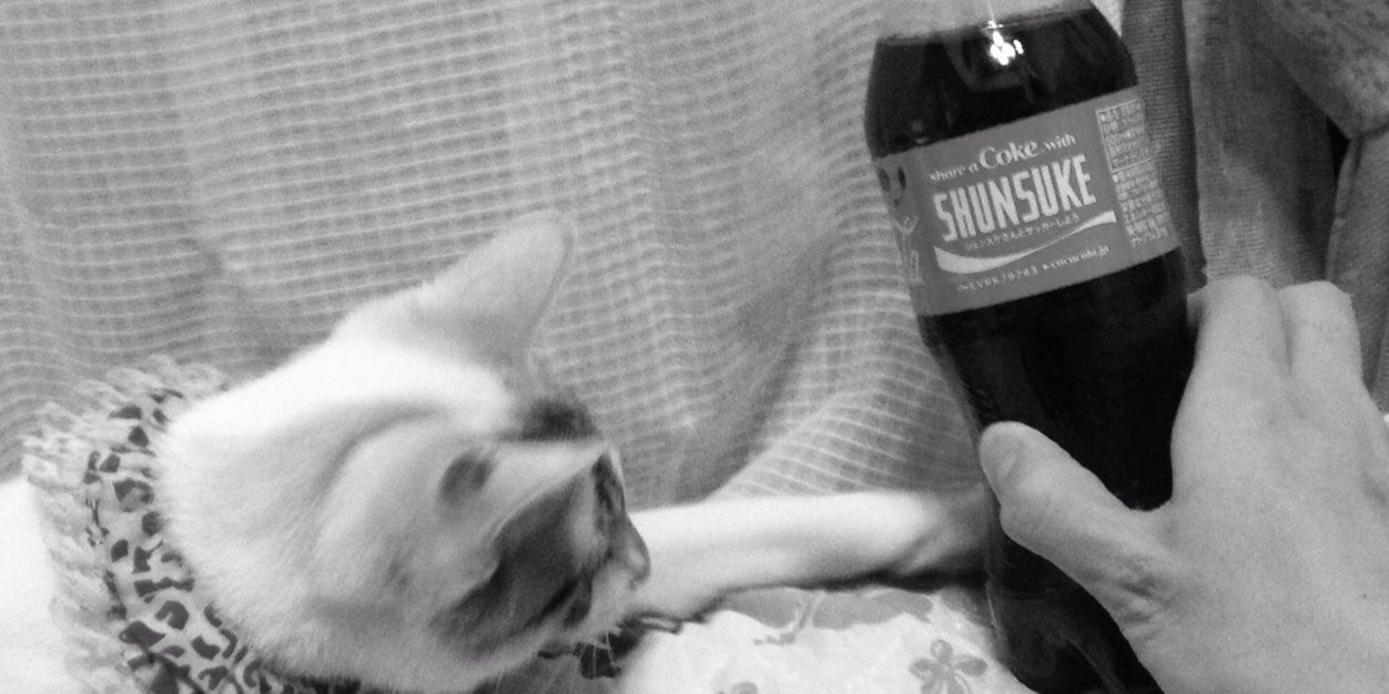 1029ShunSSS's profile banner image
