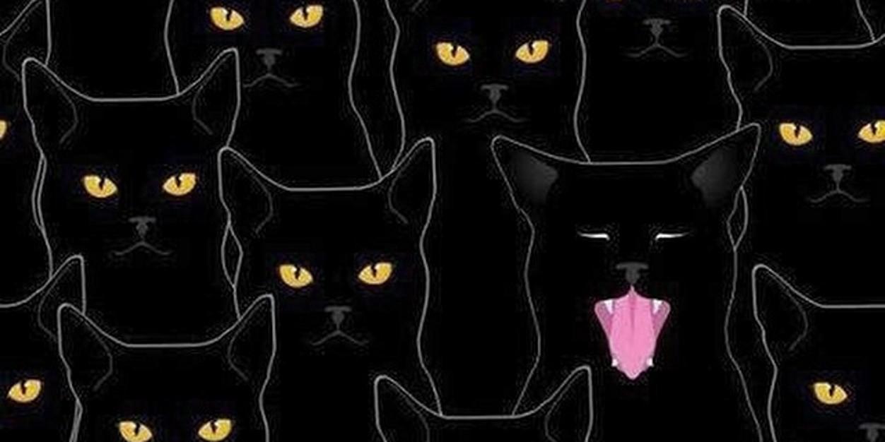 TarleyTeles's profile banner image
