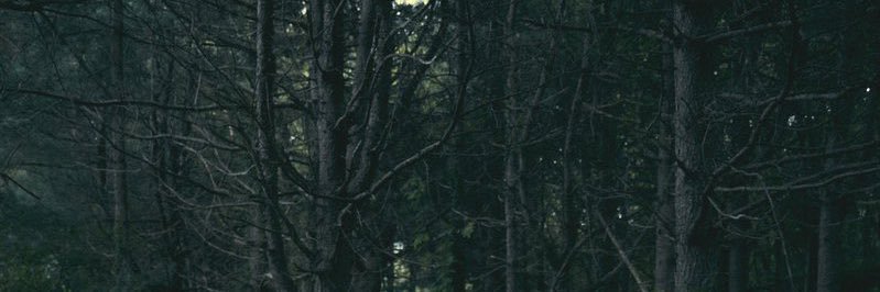 dairylvr's profile banner image