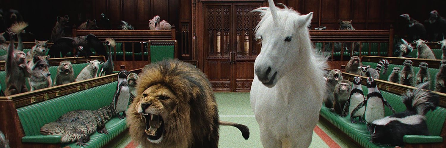 Robbie🐾🐾 banner