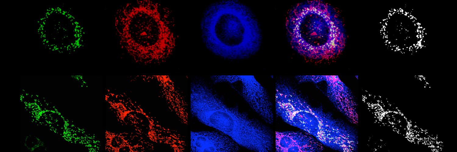 Calì_Lab's banner