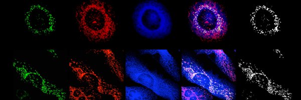 lab_cali Profile Banner