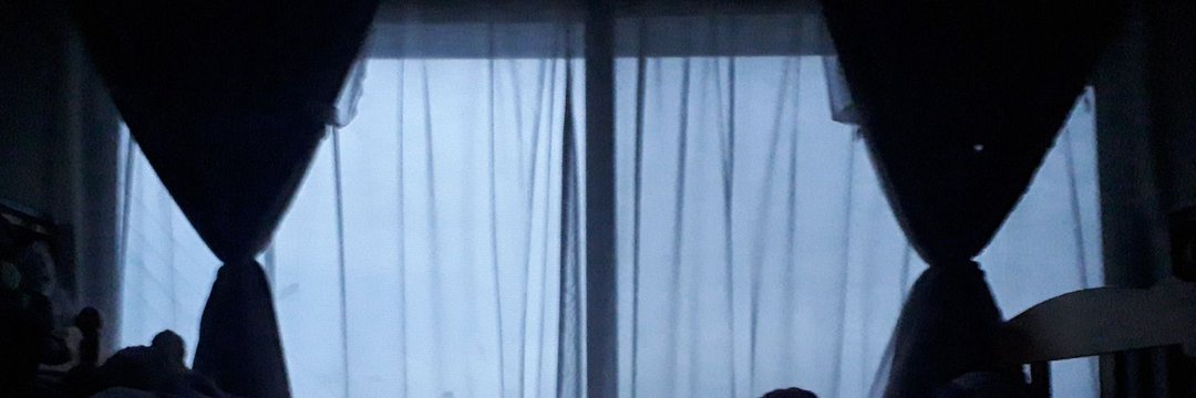 ほんうさだよ banner