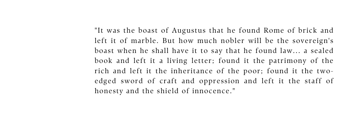 Indira Jaising banner