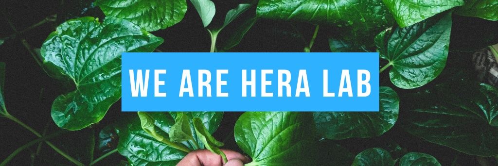 HERA Lab 💙 banner