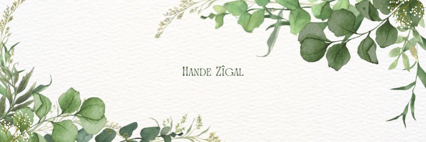 handezgl's profile banner image