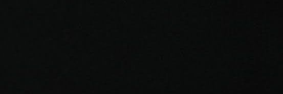 Veggie Lucy banner