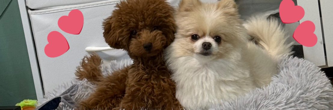 ららら☽*̣̩⋆̩ banner