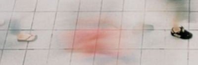 Danu. banner