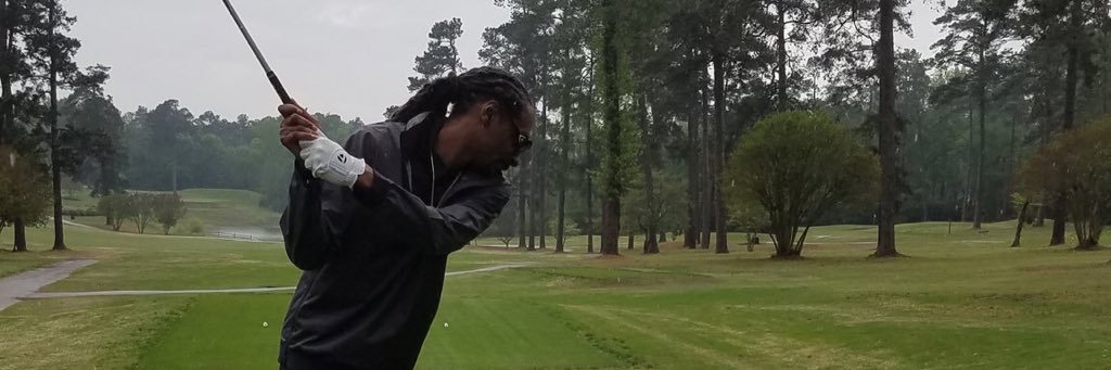 Linn Nordström banner